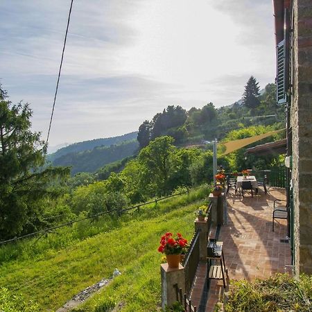 Casa Serena Villa Petrognano  ภายนอก รูปภาพ