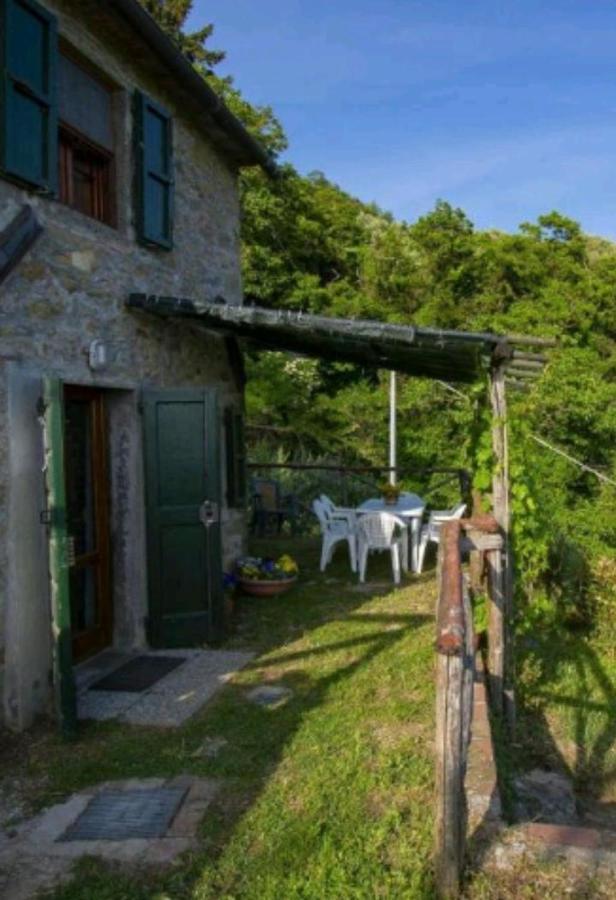 Casa Serena Villa Petrognano  ภายนอก รูปภาพ