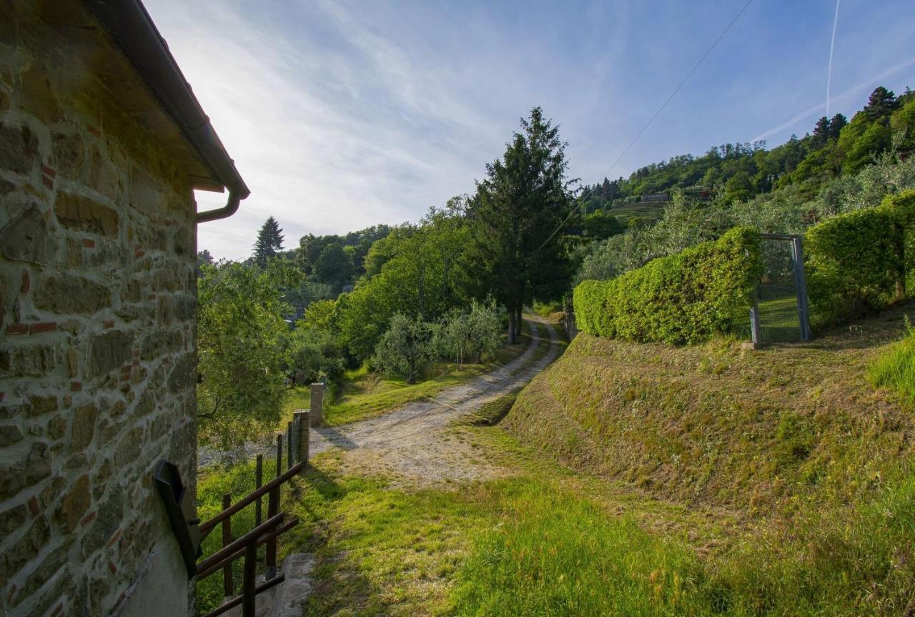 Casa Serena Villa Petrognano  ภายนอก รูปภาพ