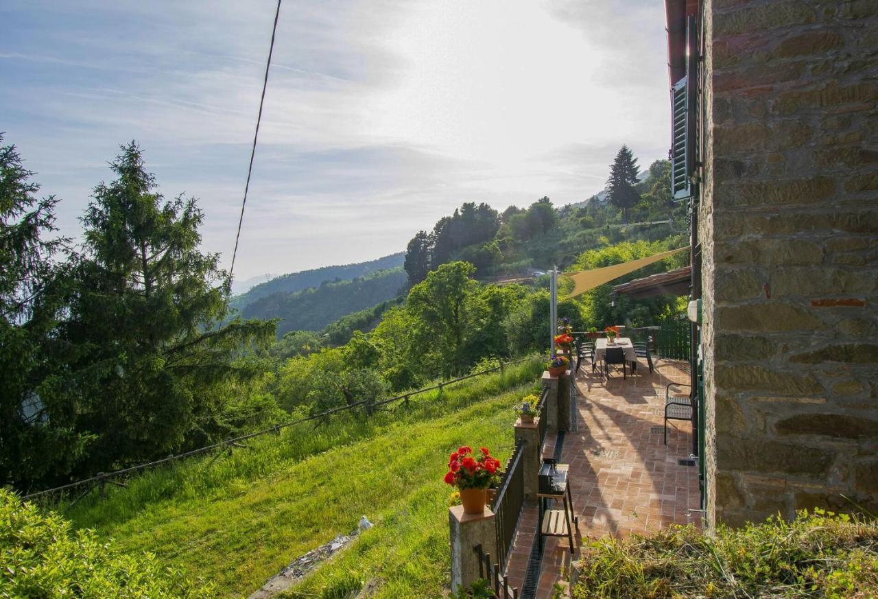 Casa Serena Villa Petrognano  ภายนอก รูปภาพ