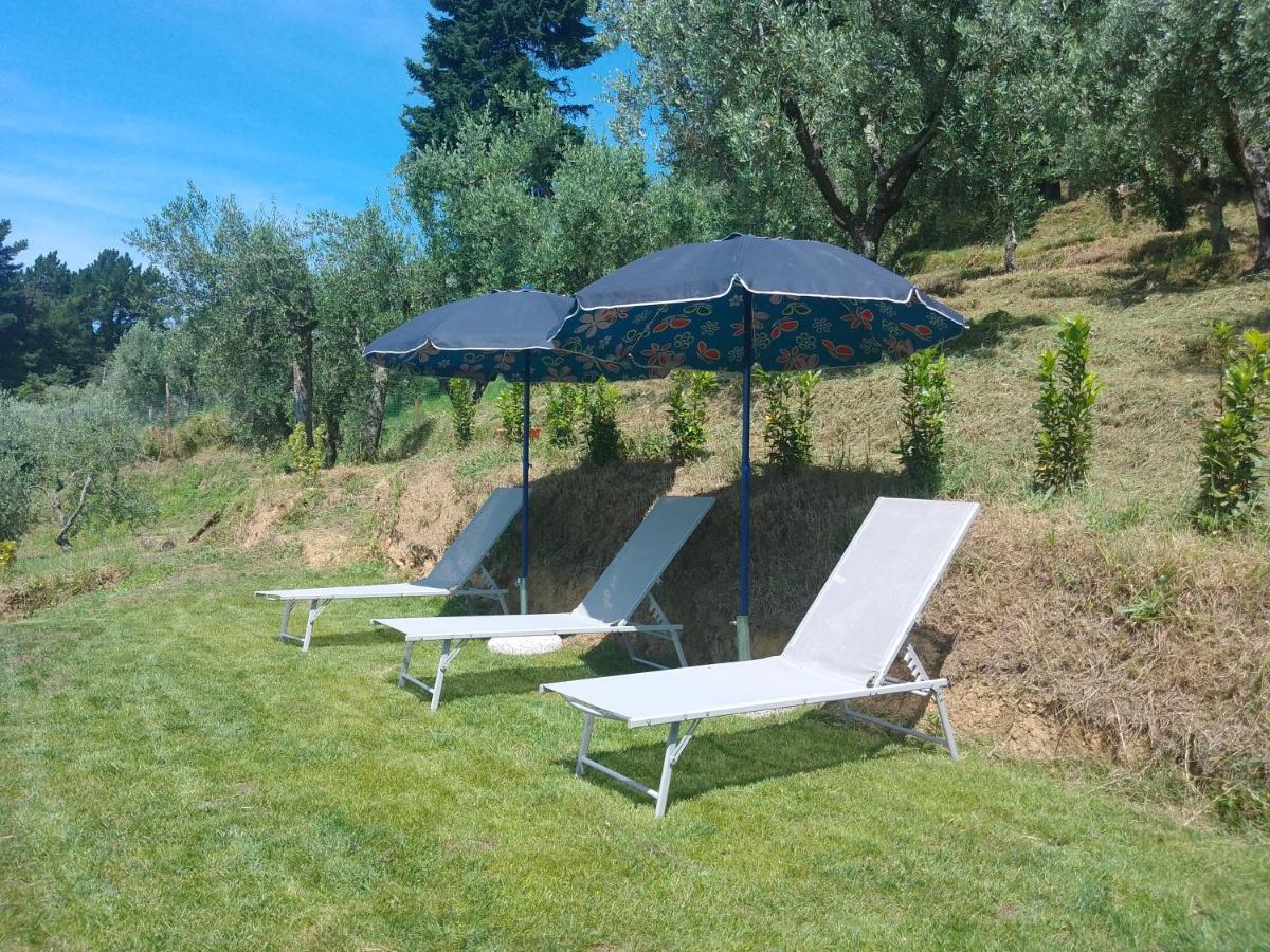 Casa Serena Villa Petrognano  ภายนอก รูปภาพ